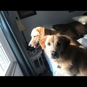 Meet your Posher, Tterri